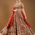 Dark Red Resham Embroidered Net Bridal Lehenga with Sweetheart Neck Blouise-JE2624